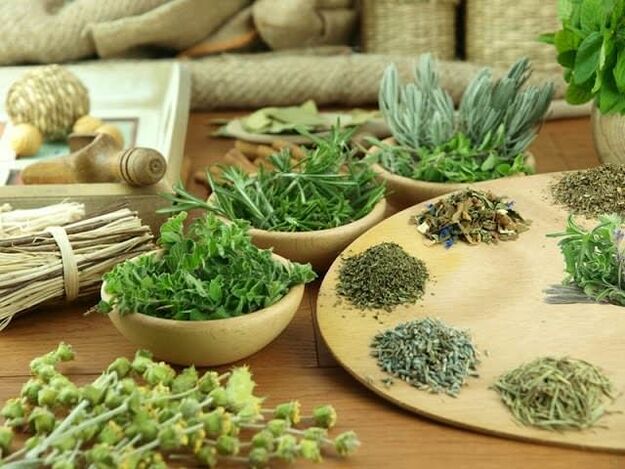 Phyt liệu pháp cho tiềm năng